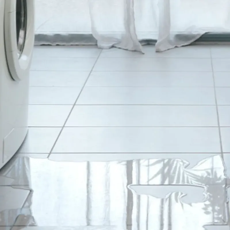 Appliance Leak Cleanup in Goodwater, AL