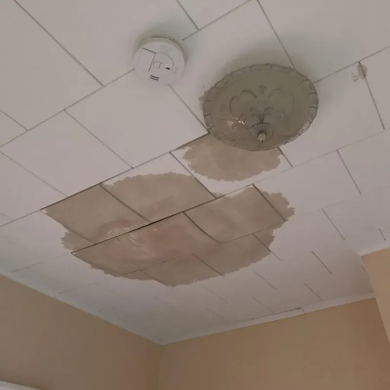 Ceiling Water Damage Repair in Goodwater, AL