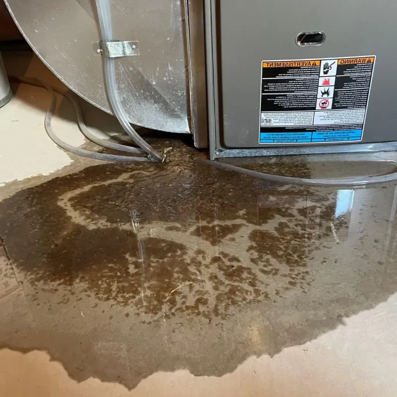 Pipe Burst and Leak Restoration in Goodwater, AL