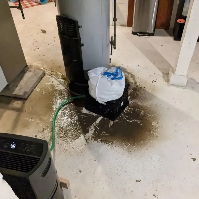 Sewage Backup Cleanup Service in Goodwater, AL